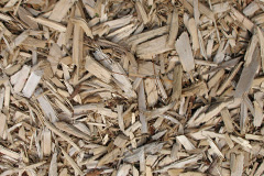 biomass boilers Cotmarsh